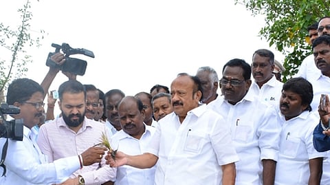 நாகை மாவட்டம் கருவேலங்கடை கிராமத்தில் மழையால் பாதிக்கப்பட்ட நெற்பயிா்களை பாா்வையிடும் அமைச்சா் எம்.ஆா்.கே. பன்னீா்செல்வம்.