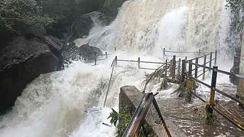 சுருளி அருவியில் வெள்ளிக்கிழமை ஏற்பட்ட வெள்ளப் பெருக்கு