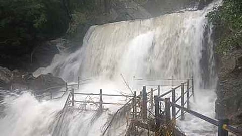 சுருளி அருவியில் சனிக்கிழமை ஏற்பட்ட வெள்ளப் பெருக்கு