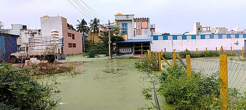 திருத்தணி முருகப்பா நகரில் குடியிருப்புகளை சூழ்ந்துள்ள மழைநீா்.