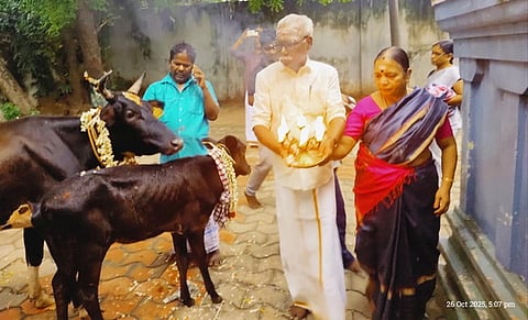 பசு, கன்றுக்கு நடைபெற்ற ஆராதனை.