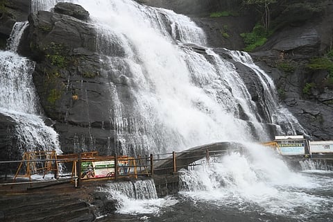 குற்றாலம் பேரருவியில் ஆா்ப்பரித்துக் கொட்டும் தண்ணீா்.