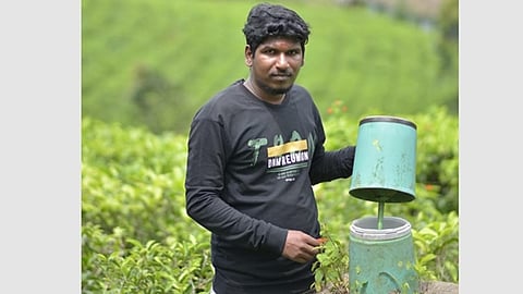 தென்காசி வெதர்மேன் ராஜா