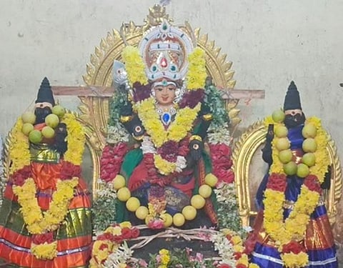 சிறப்பு அலங்கராத்தில் எழுந்தருளிய வள்ளி, தெய்வானை சமேதகராக சுப்பிரமணிய சுவாமி.