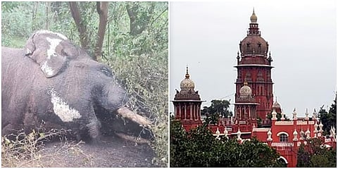 சென்னை உயர்நீதிமன்றம் கேள்வி