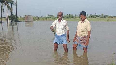 கும்மிடிப்பூண்டியில் தொடா் மழையால் சேதமடைந்த பயிா்களை காண்பித்த விவசாயிகள்.