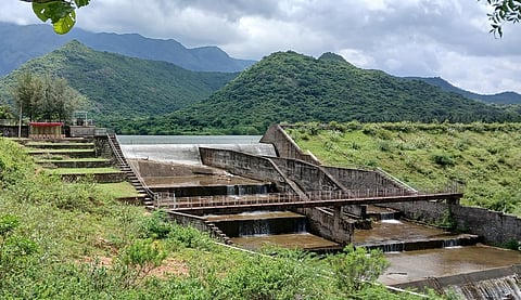 ராயப்பன்பட்டி அருகேயுள்ள சண்முகாநதி நீா்த் தேக்கத்திலிருந்து வெள்ளிக்கிழமை பாசனத்துக்காக திறந்து விடப்பட்ட தண்ணீருக்கு  மலா்தூவி மரியாதை செய்த அதிகாரிகள், விவசாயிகள்.