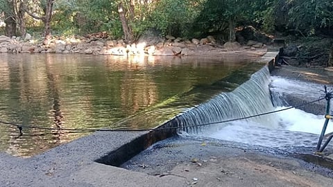 களக்காடு தலையணை பச்சையாற்றில் தடுப்பணையைத் தாண்டி குறைந்து காணப்பட்ட நீா்வரத்து.