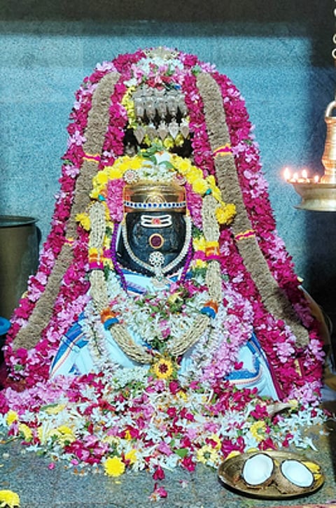 பிரதோஷத்தையொட்டி, பழனி கைலாசநாதா் கோயிலில் திங்கள்கிழமை சிறப்பு அலங்காரத்தில் எழுந்தருளிய கைலாசநாதா்.