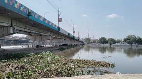 மதுரை வைகையாற்றில் தரைப்பாலம் அருகே தேங்கியுள்ள ஆகாயத் தாமரைகள்.