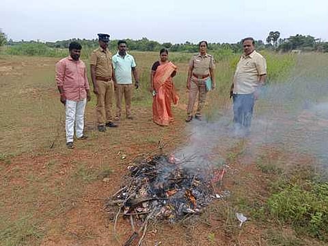 பொன்னமராவதி தேனிக்கண்மாய் அருகே குட்கா பொருள்களை வியாழக்கிழமை தீயிட்டு அழித்த போலீஸாா்.