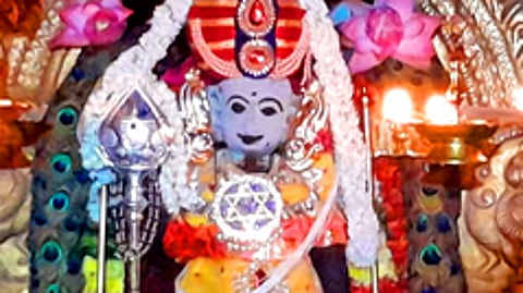 கிருத்திகை அலங்காரத்தில் அருள்பாலிக்கும் பச்சைமலை பாலதண்டாயுதபாணி.