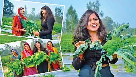 விவசாயத்தில் புதிய உத்தி!