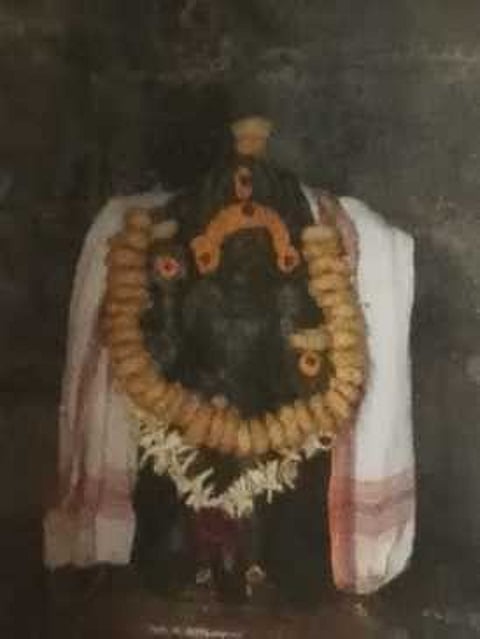 வைரவம் கோயிலில் சிறப்பு அலங்காரத்தில் அருள்பாலித்த சட்டநாத பைரவா்.