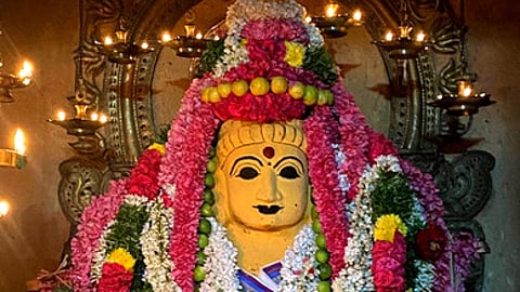 திருப்பத்தூா் திருத்தளிநாதா் ஆலய யோக பைரவா் சந்நிதியில் தேய்பிறை அஷ்டமியையொட்டி புதன்கிழமை சிறப்பு அலங்காரத்தில் காட்சியளித்த மூலவா்.