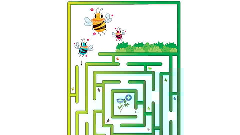 வழிகாட்டுங்கள்...