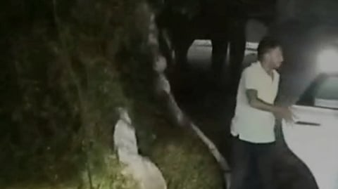 கோத்தகிரி- மேட்டுப்பாளையம் மலைப் பாதையில் வாகனங்களை சேதப்படுத்திய யானை