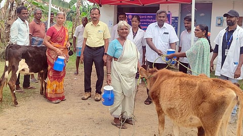 அந்தியூரில் கால்நடை மருத்துவ முகாம்