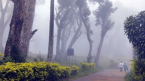 ஏற்காடு ரோஜா தோட்டம் பகுதியில் காணப்பட்ட பனிமூட்டம்