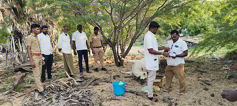 மாட்டை கூறாய்வு செய்யும் மருத்துவக் குழுவினா்