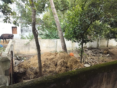 சிறுத்தை புலி சென்ற பாதை