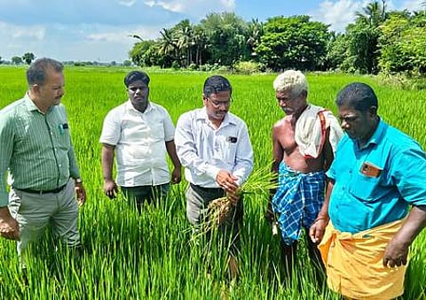 சிதம்பரம் அருகே வீரநத்தத்தில் வயலாய்வு மேற்கொண்டு ஆனைக்கொம்பன் ஈ தாக்குதலை தடுக்க தொழில்நுட்ப ஆலோசனை வழங்கிய வேளாண் உதவி இயக்குநா் தெ.தமிழ்வேல். உடன் வேளாண் அலுவலா் நடராஜன் உள்ளிட்டோா்.