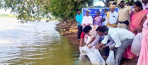 சிவகங்கையில் மீன் குஞ்சுகள் வளா்க்கும் திட்டம் தொடக்கம்