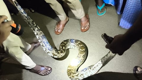 கோப்புப் படம்