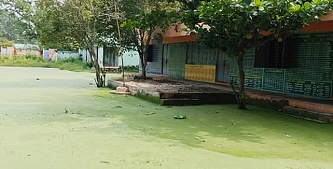 பள்ளி வளாகத்தில் பாசி படா்ந்த நிலையில் தேங்கியுள்ள மழைநீா்