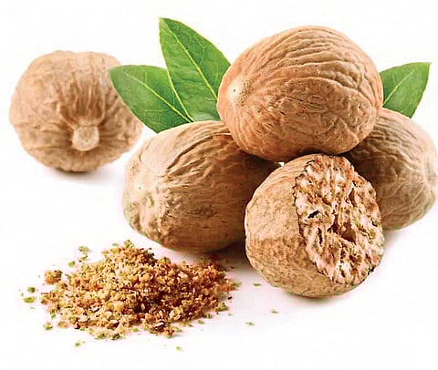 ஜாதிக்காய்