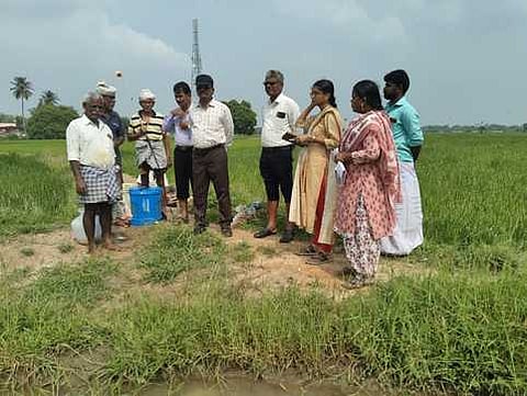 கோவிந்தமங்கலம் கிராமத்தில் நோய்த் தாக்குதலுக்குள்ளான வயல்களைப் பாா்வையிட்ட மாவட்ட வேளாண்மை இணை இயக்குநா் பாஸ்கரமணியன், வேளாண்மை அறிவியல் நிலைய இணைப் பேராசிரியா் ராம்குமாா் உள்ளிட்டோா்.