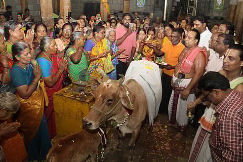 பாளை. ராஜகோபால சுவாமி கோயிலில் கோ பூஜை