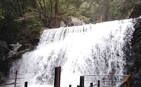 சுருளி அருவியில் சுற்றுலாப் பயணிகள் குளிக்க அனுமதி