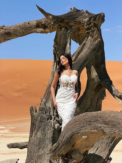 நந்தினி