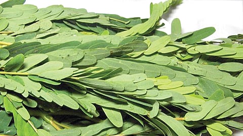 ஆயுள் காக்கும் ஆயுர்வேதம்: நச்சுத்தன்மை குணமாக...