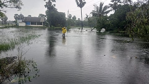 வேதாரண்யம் பகுதியில் தொடரும் கனமழை: கோடியக்கரையில் கடல் சீற்றம்