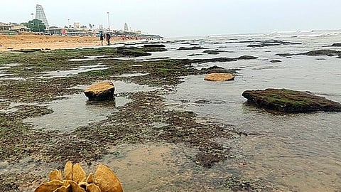 திருச்செந்தூரில் உள்வாங்கிய கடல்!