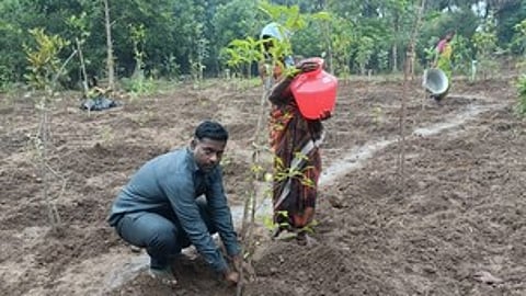 கோயில் நிலத்தில் மரக்கன்று நடவு செய்த செயல் அலுவலா் தா.மேகவண்ணன்.