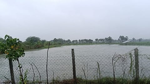 கோப்புப் படம்