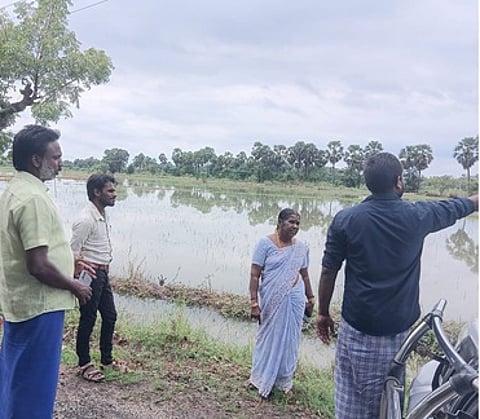 கொரடாச்சேரி அருகே பருத்தியூா் பகுதியில் மழை பாதித்த பயிா்களை பாா்வையிடும் வேளாண் அலுவலா்கள்.
