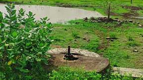 தண்ணீரின்றி காணப்படும் அயன் நத்தம்பட்டி பெரியகுளம் கண்மாய்