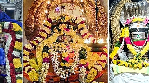 காா்த்திகை தீபத் திருவிழா:
சிவாலயங்களில் சிறப்பு வழிபாடு