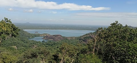 பிஏபி கால்வாய்களைத் தூா்வார ரூ.10 கோடி ஒதுக்கீடு