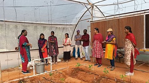 வேளாண்மைப் பல்கலைக்கழகத்தில் நடைபெற்ற பசுமைக் குடில் கட்டுமானம், சாகுபடி குறித்த பயிற்சியில் பங்கேற்றோா்.