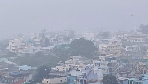 ஒசூரில் வெள்ளிக்கிழமை காலை காணப்பட்ட பனிமூட்டம்.