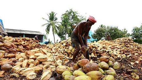 வாழப்பாடியில் உள்ள மண்டியில் தேங்காய் மட்டையை உரிக்கும் தொழிலாளி.