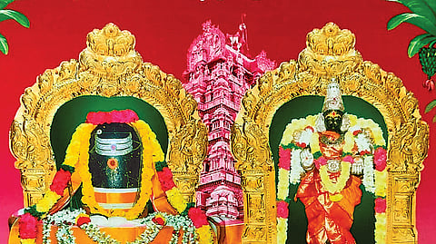 பாவம் விலகும்