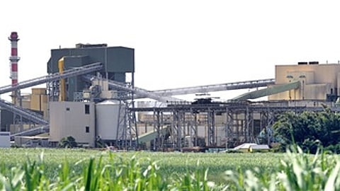 43% உயா்வு கண்ட சா்க்கரை உற்பத்தி