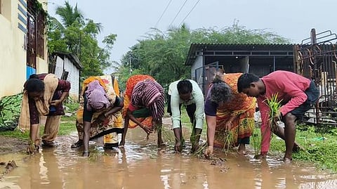 பழங்கனாங்குடி ஊராட்சியில் வெள்ளிக்கிழமை நாற்று நடும் போராட்டத்தில் ஈடுபட்ட பொதுமக்கள்.