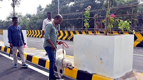 தமிழக முதல்வா் மு.க. ஸ்டாலினால் மதுரையில் திறந்து வைக்கப்பட உள்ள மேலமடை அப்பல்லோ சந்திப்பு உயா்நிலைப் பாலத்தில் சனிக்கிழமை மோப்ப நாய் உதவியுடன் சோதனை செய்த வெடிகுண்டு தடுப்பு போலீஸாா்.